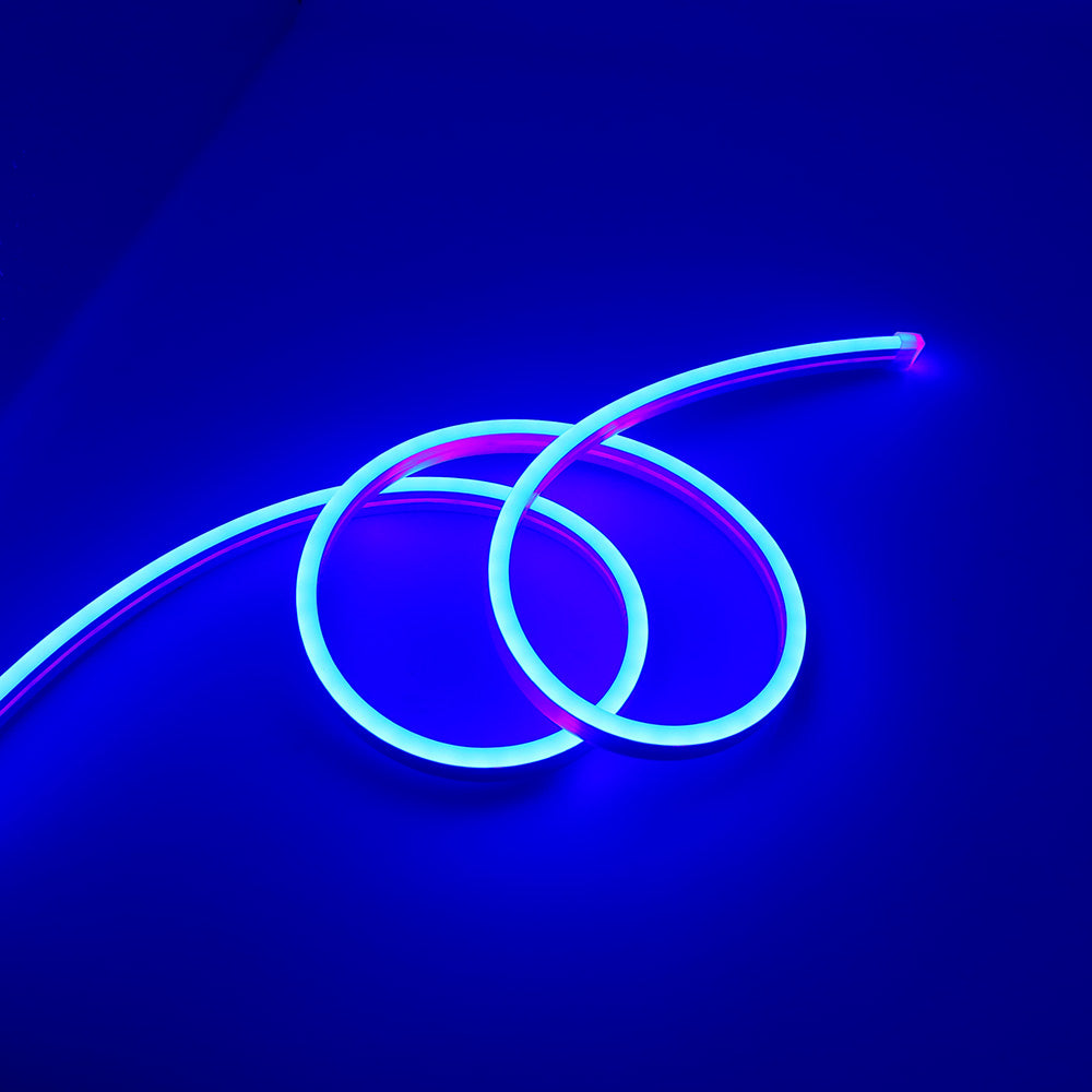 Neon Flex LED Strips Light (Blue)