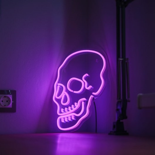 Skull Neon Sign